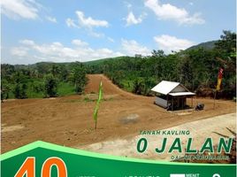  Land for sale in Genteng, Banyuwangi, Genteng