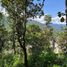 Terrain à vendre à Valle De Bravo, Mexico, Valle De Bravo