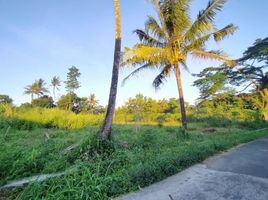  Land for sale in Ngemplak, Sleman, Ngemplak