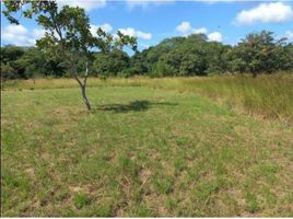  Grundstück zu verkaufen in Penonome, Cocle, Canaveral