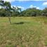  Land for sale in Penonome, Cocle, Canaveral, Penonome