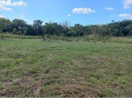  Land for sale in Penonome, Cocle, Canaveral, Penonome