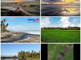  Terreno (Parcela) en venta en Tabanan, Bali, Tabanan, Tabanan