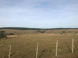  Land for sale in Lagoa Mirim, Rio Grande do Sul, Sem Nome, Lagoa Mirim