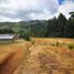 Terrain à vendre à Medellin, Antioquia, Medellin