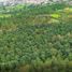  Terreno (Parcela) en venta en Atemajac De Brizuela, Jalisco, Atemajac De Brizuela