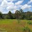  Terreno (Parcela) en venta en Atemajac De Brizuela, Jalisco, Atemajac De Brizuela