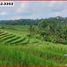  Land for sale in Kerambitan, Tabanan, Kerambitan