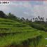  Land for sale in Kerambitan, Tabanan, Kerambitan