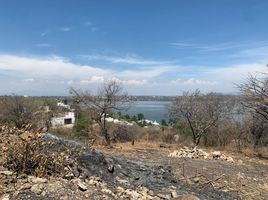  Terreno (Parcela) en venta en Puente De Ixtla, Morelos, Puente De Ixtla