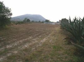  Grundstück zu verkaufen in Temascalapa, Mexico, Temascalapa