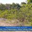  Land for sale in Tepus, Yogyakarta, Tepus