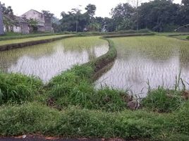  Land for sale in Ngemplak, Sleman, Ngemplak