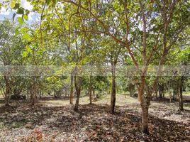  Terreno (Parcela) en venta en Othon P Blanco, Quintana Roo, Othon P Blanco