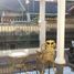 3 Habitación Casa en venta en Lakarsantri, East Jawa, Lakarsantri