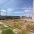  Terreno (Parcela) en venta en Torreon, Coahuila, Torreon