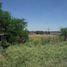  Land for sale in Romita, Guanajuato, Romita