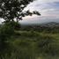  Land for sale in Miacatlan, Morelos, Miacatlan