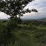  Land for sale in Miacatlan, Morelos, Miacatlan