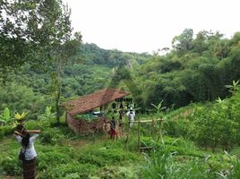  Land for sale in Ubud, Gianyar, Ubud