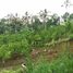  Land for sale in Ubud, Gianyar, Ubud