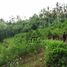  Land for sale in Ubud, Gianyar, Ubud