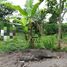  Land for sale in Ubud, Gianyar, Ubud