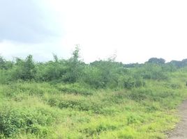  Land for rent in Calabarzon, Silang, Cavite, Calabarzon