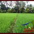  Land for sale in Kerambitan, Tabanan, Kerambitan