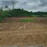  Land for sale in Santo Domingo De Los Colorados, Santo Domingo De Los Tsachilas, Santo Domingo De Los Colorados, Santo Domingo, Santo Domingo De Los Tsachilas