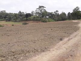  Land for sale in Santo Domingo De Los Colorados, Santo Domingo De Los Tsachilas, Santo Domingo De Los Colorados, Santo Domingo, Santo Domingo De Los Tsachilas