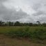  Land for sale in Santo Domingo De Los Colorados, Santo Domingo De Los Tsachilas, Santo Domingo De Los Colorados, Santo Domingo, Santo Domingo De Los Tsachilas