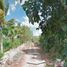  Land for sale in Tixkokob, Yucatan, Tixkokob