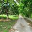  Land for sale in Tixkokob, Yucatan, Tixkokob
