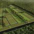  Land for sale in Yobain, Yucatan, Yobain
