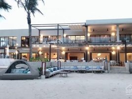 15 Phòng ngủ Nhà mặt tiền for sale in Xuyên Mộc, Bà Rịa - Vũng Tàu, Phước Thuận, Xuyên Mộc