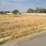  Terreno (Parcela) en venta en Corregidora, Querétaro, Corregidora