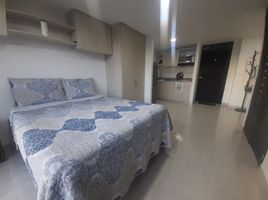 1 Bedroom Condo for rent in Cundinamarca, Bogota, Cundinamarca