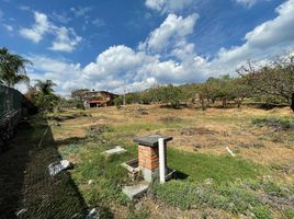  토지을(를) Tepoztlan, 모렐 로스에서 판매합니다., Tepoztlan