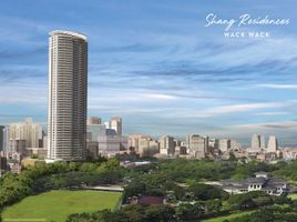 1 Schlafzimmer Appartement zu verkaufen in Mandaluyong City, Metro Manila, Mandaluyong City, Eastern District, Metro Manila