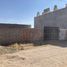  Terreno (Parcela) en alquiler en San Luis Potosi, San Luis Potosí, San Luis Potosi, San Luis Potosí