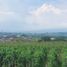  Land for sale in Malang Regency, East Jawa, Bumiaji, Malang Regency