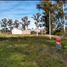  Land for sale in Gualeguaychu, Entre Rios, Gualeguaychu