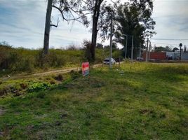  Land for sale in Gualeguaychu, Entre Rios, Gualeguaychu