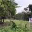  Land for sale in Jalcomulco, Veracruz, Jalcomulco