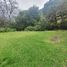 Land for sale in Jilotzingo, Mexico, Jilotzingo