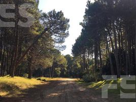 Terrain à vendre à Pinamar, Buenos Aires, Pinamar