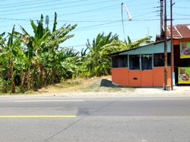  Tanah for sale in Pengasih, Kulon Progo, Pengasih