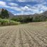  Land for sale in Vilcabamba Victoria, Loja, Vilcabamba Victoria, Loja, Loja