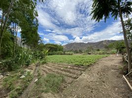  Land for sale in Vilcabamba Victoria, Loja, Vilcabamba Victoria, Loja, Loja